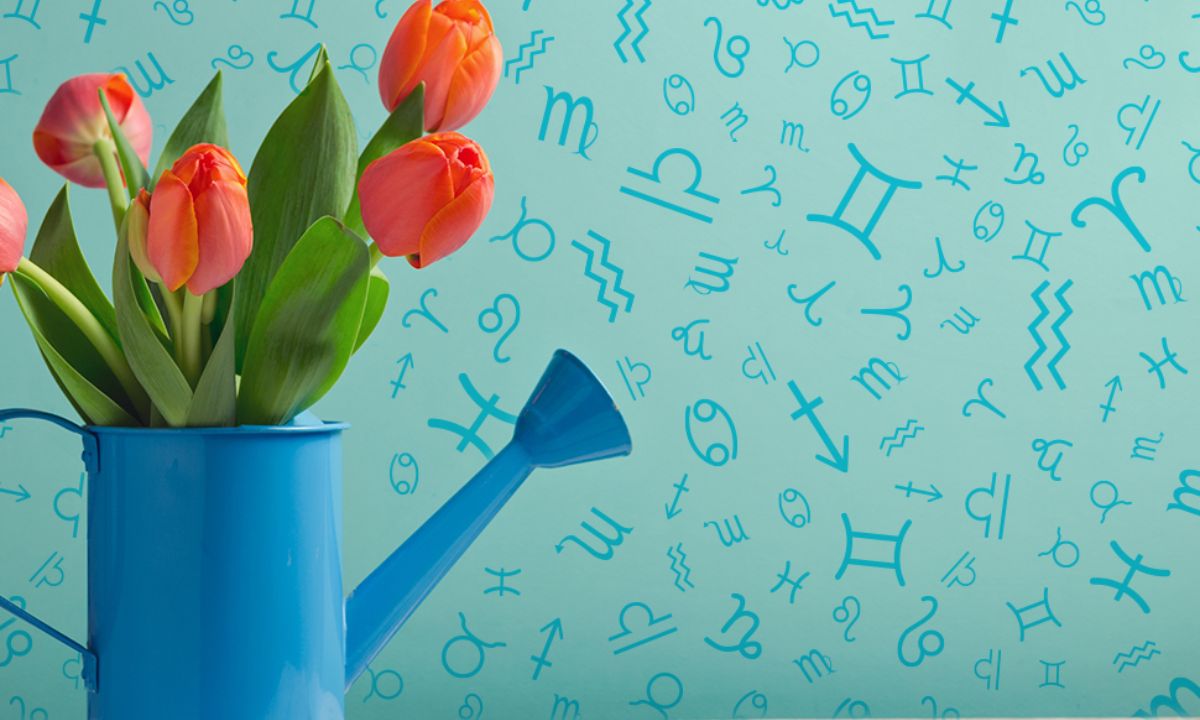 Εβδομαδιαίες προβλέψεις από 02/05 έως 08/05: Μετρίασε τον ενθουσιασμό σου!