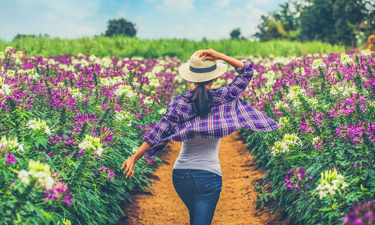 Ημερήσιες Προβλέψεις για όλα τα Ζώδια 07/05
