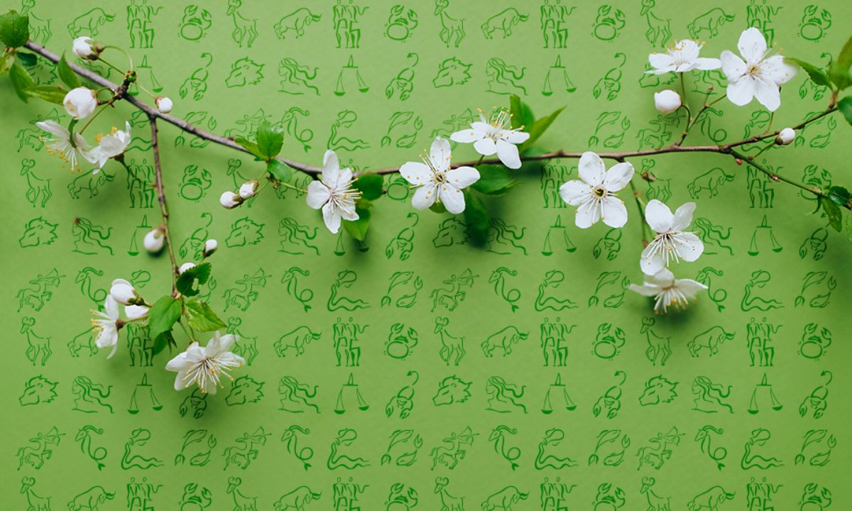 Εβδομαδιαίες προβλέψεις από 09/05 έως 15/05: Ξέχνα τα παλιά και γύρνα σελίδα!