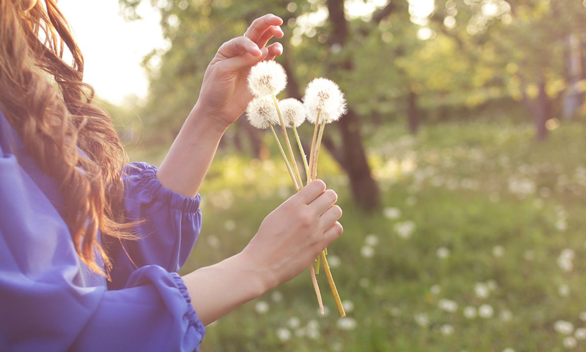 Ημερήσιες Προβλέψεις για όλα τα Ζώδια 12/05