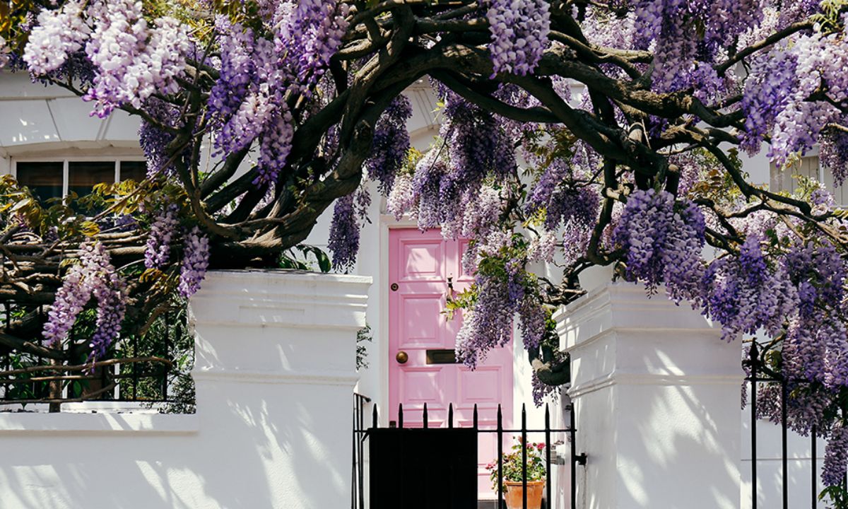 Ημερήσιες Προβλέψεις για όλα τα Ζώδια 13/05