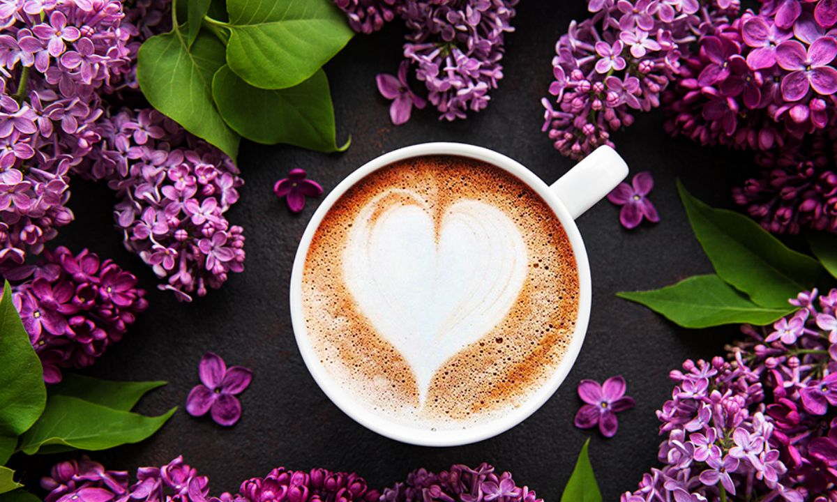 Προβλέψεις για τα αισθηματικά του ζωδίου σου, σήμερα 11/05