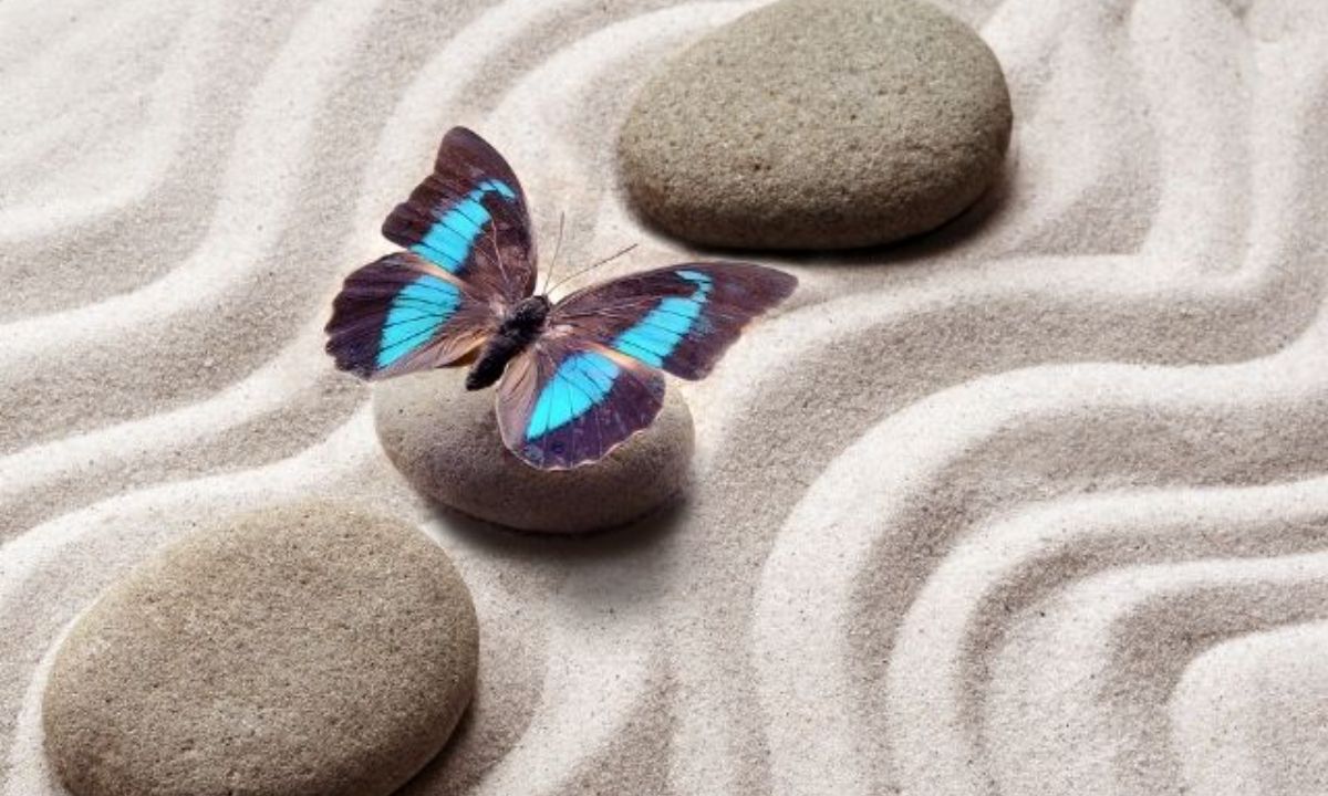 Σήμερα 23/05: Σε αρμονικό κλίμα