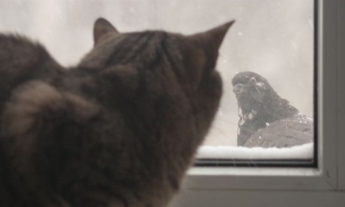 Σήμερα 24/05: Συνδυασμός ενστίκτου και ισχυρής θέλησης