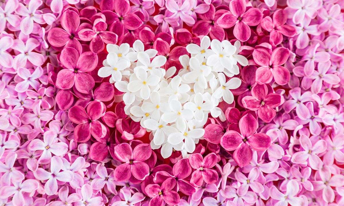 Προβλέψεις για τα αισθηματικά του ζωδίου σου, σήμερα 17/05