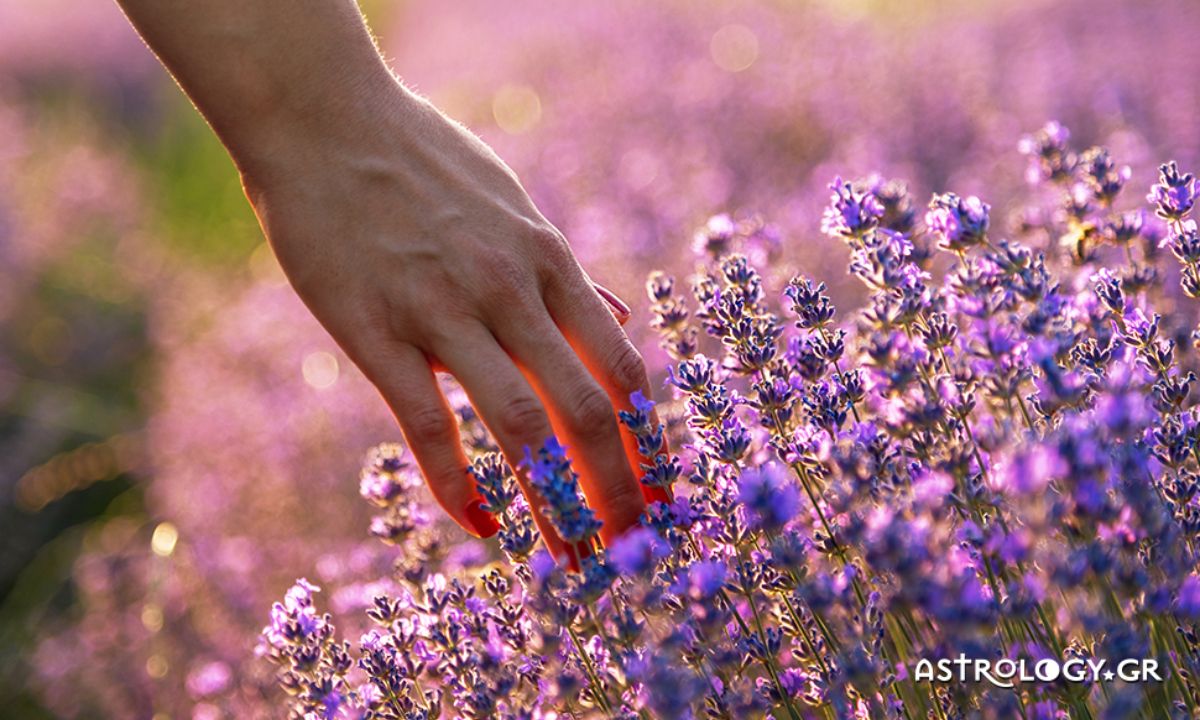 Ημερήσιες Προβλέψεις για όλα τα Ζώδια 20/05