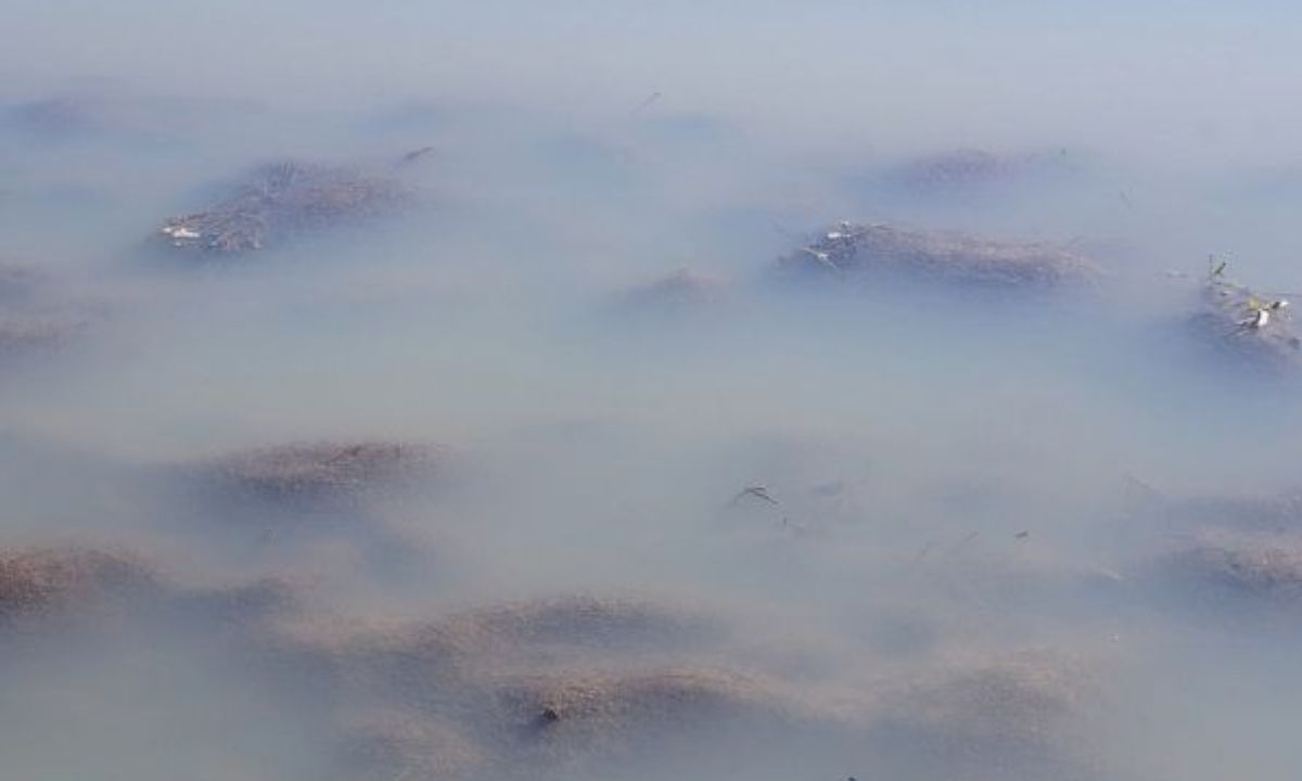 Σήμερα 31/05: Σε θολά νερά