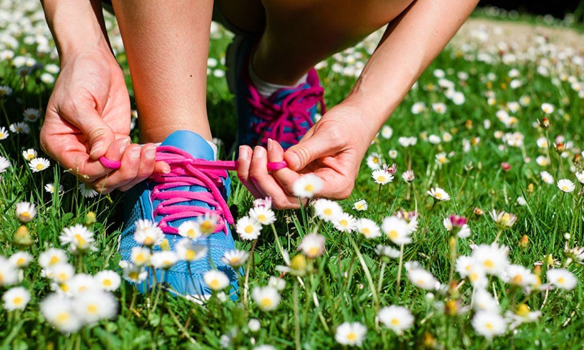 Ημερήσιες Προβλέψεις για όλα τα Ζώδια 24/05