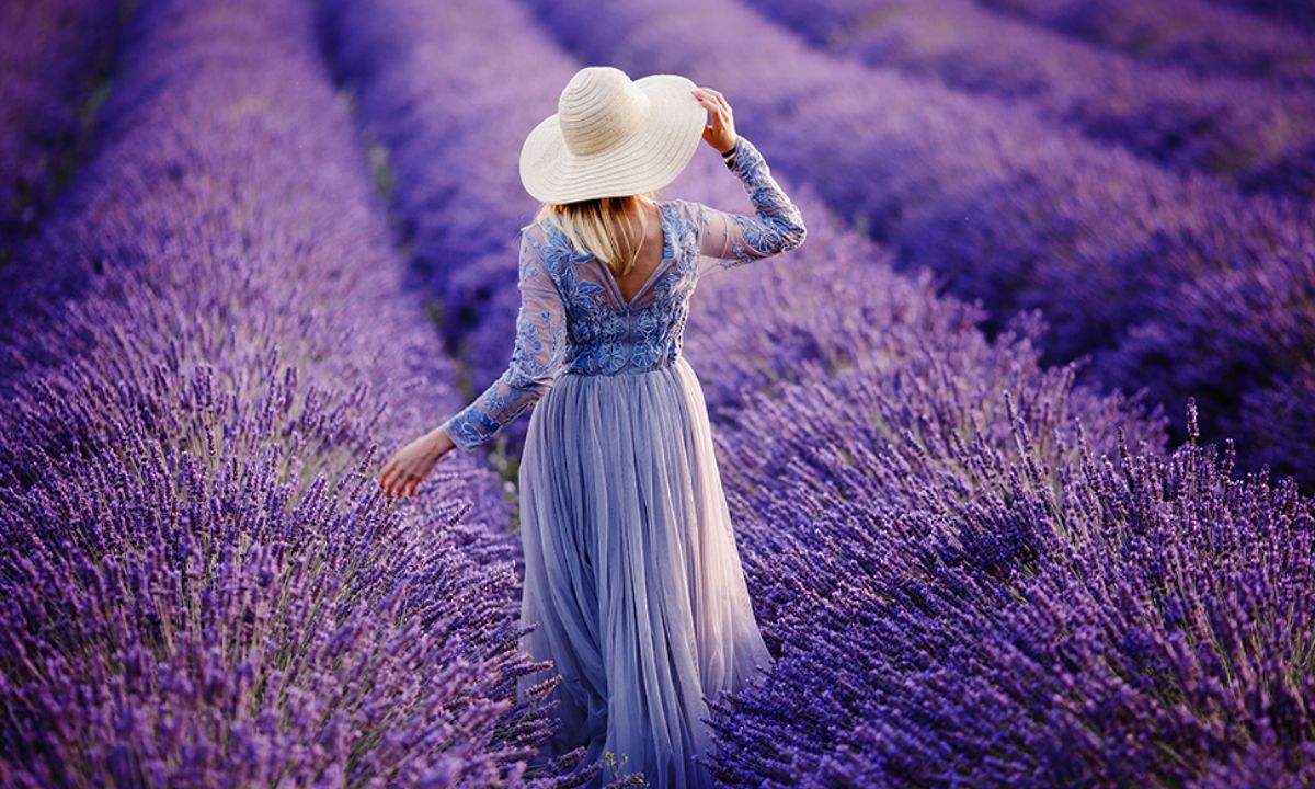 Ημερήσιες Προβλέψεις για όλα τα Ζώδια 25/05