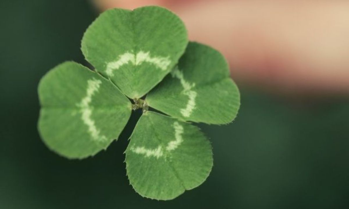 Σήμερα 03/06/21: Προσπάθησε κι η τύχη θα είναι με το μέρος σου