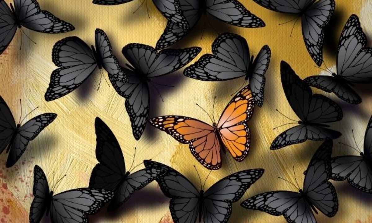 Τα ζώδια που θέλουν πάντα να διαφέρουν