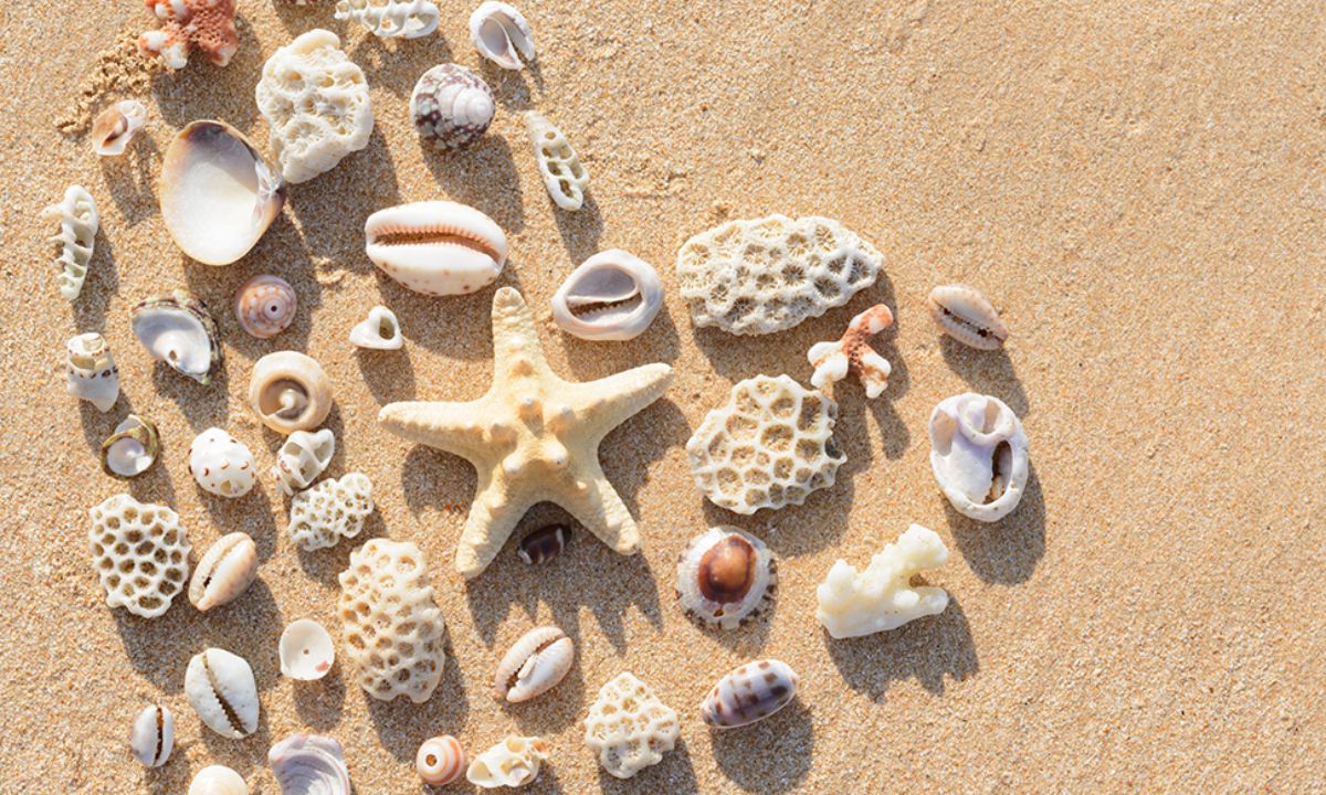 Προβλέψεις για τα αισθηματικά του ζωδίου σου, σήμερα 12/06