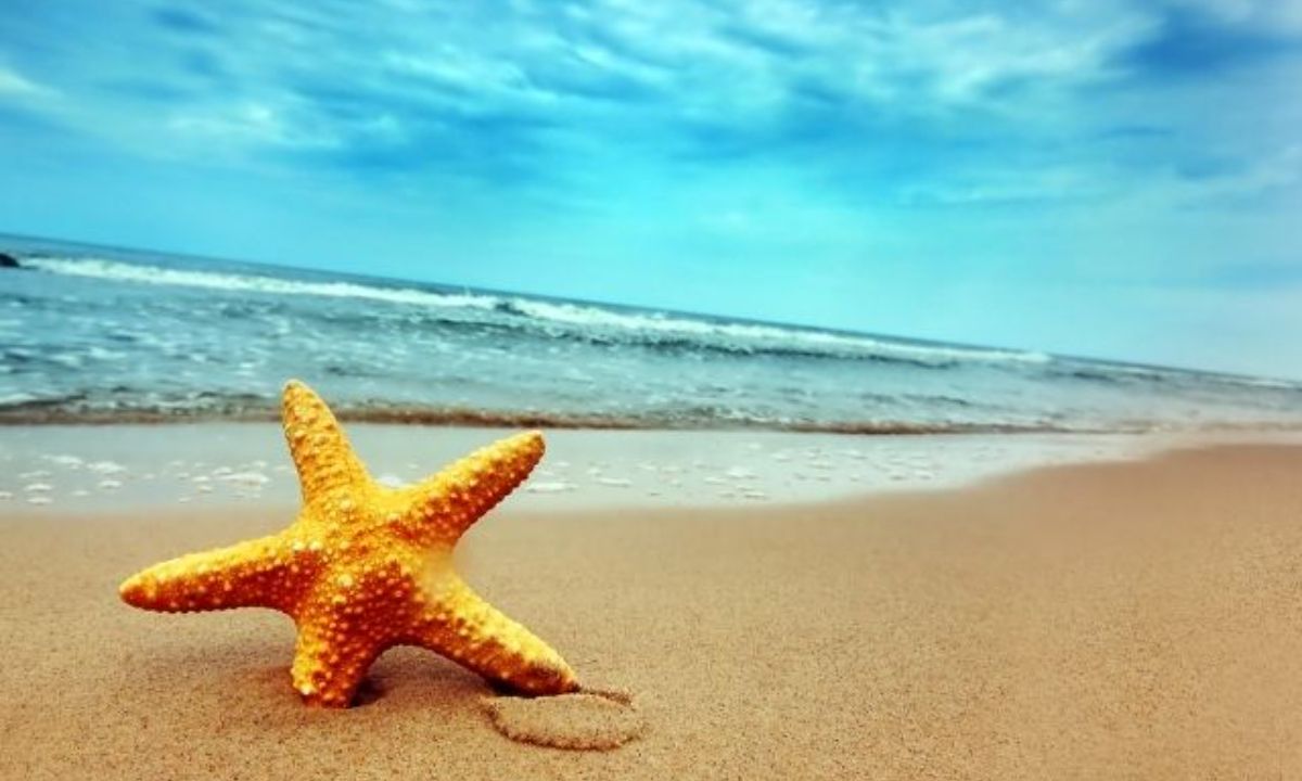 Σήμερα 21/06: Μύρισε καλοκαίρι