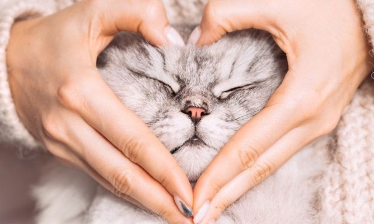 Δες ποιο κατοικίδιο θα σου ταίριαζε, ανάλογα με το ζώδιό σου!