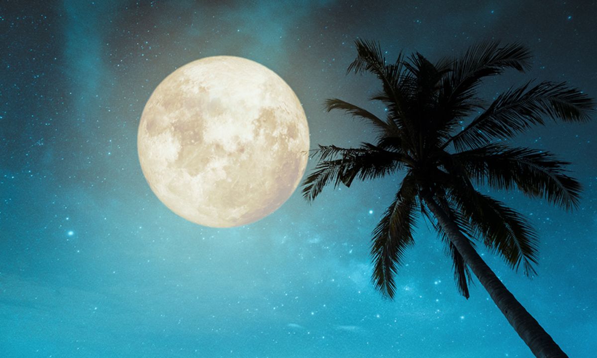 Πανσέληνος στον Αιγόκερω: Αντιμετώπισε τα πάντα με τη δέουσα σοβαρότητα!