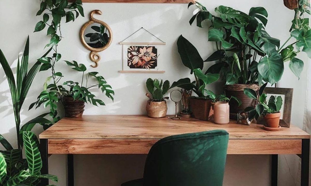 Plant office: 8 γραφεία κάνουν την τηλεργασία αυτό το καλοκαίρι... τον απόλυτο παράδεισο!