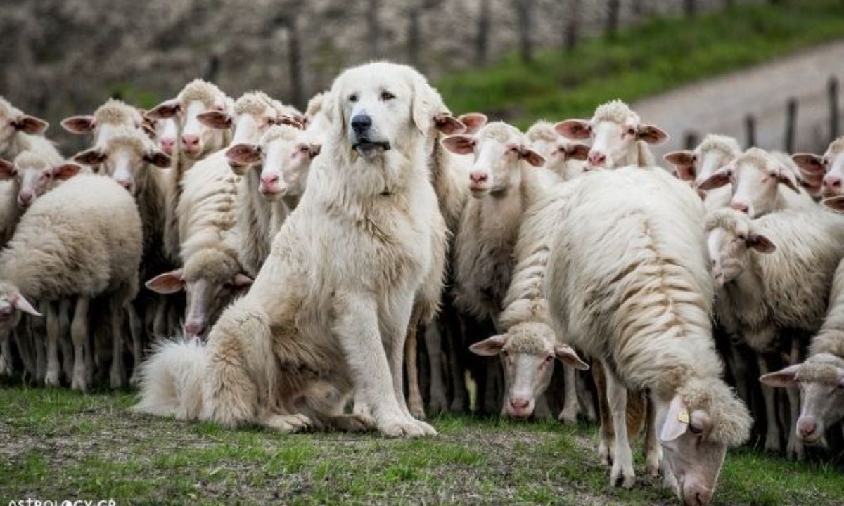 Σήμερα 06/07: Ο φόβος φυλάει τα έρημα…