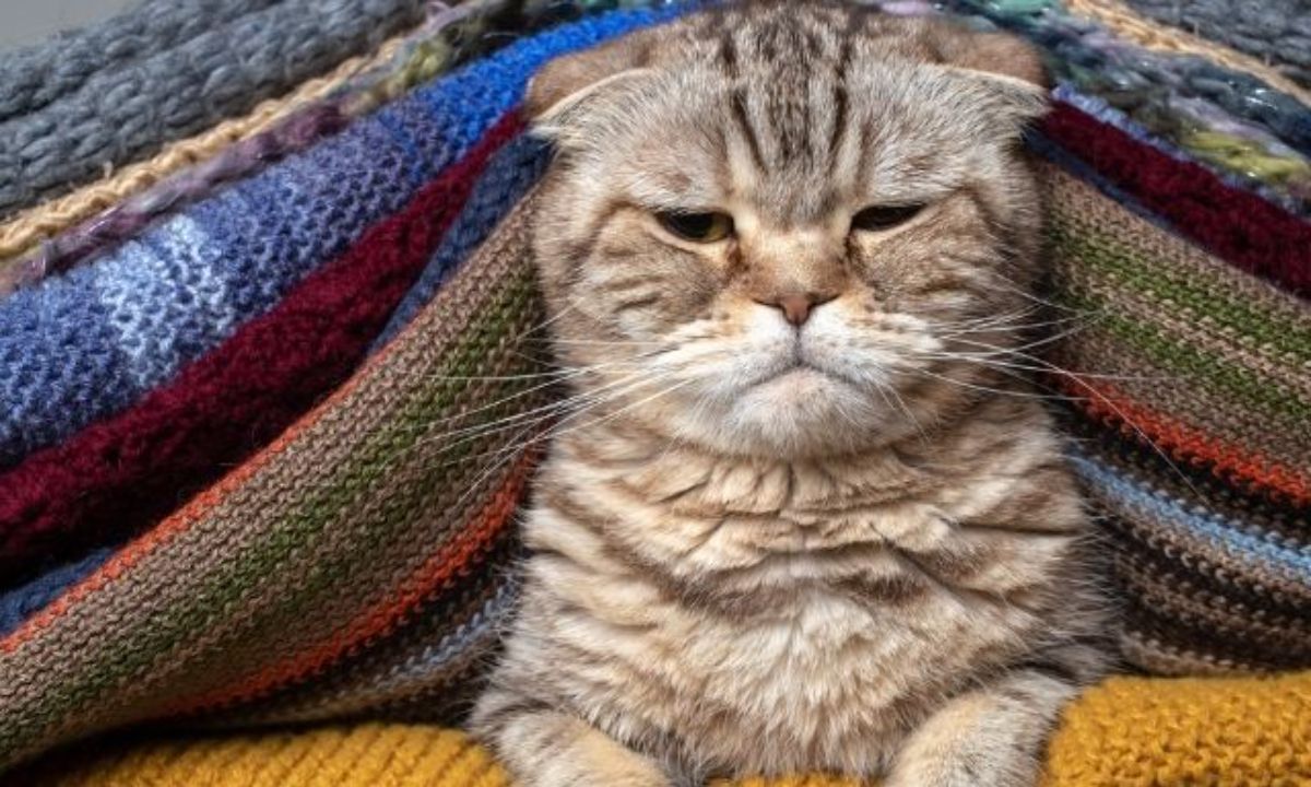 Σήμερα 18/07: Καμία ικανοποίηση