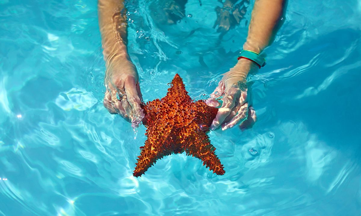 Ημερήσιες Προβλέψεις για όλα τα Ζώδια 11/07