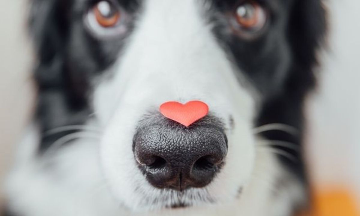 Τα 3 ζώδια που δεν μπορούν να αρνηθούν κανένα χατίρι!