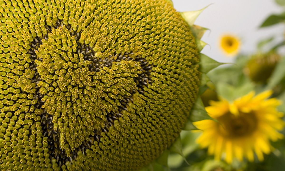 Προβλέψεις για τα αισθηματικά του ζωδίου σου, σήμερα 15/07