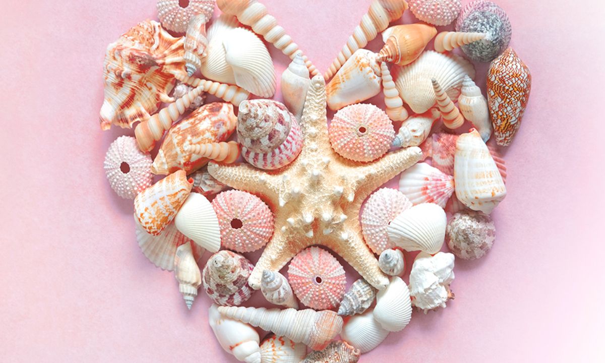 Εβδομαδιαίες Αισθηματικές προβλέψεις 26/07 έως 01/08: Όλα στον αέρα!