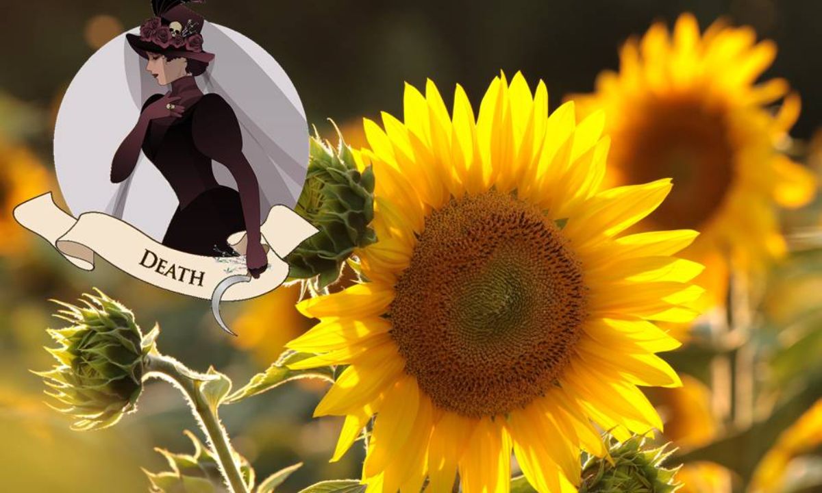 Προβλέψεις Ταρώ Aυγούστου 2021: Το τέλος της ταλαιπωρίας