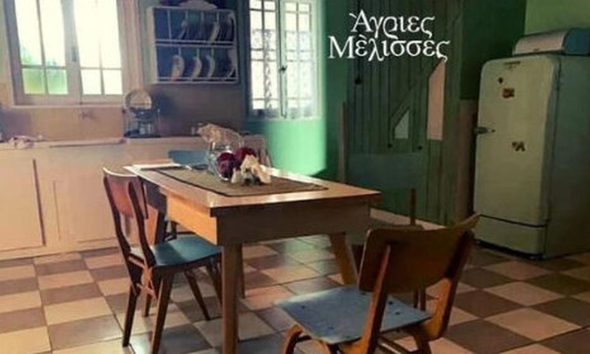 Άγριες Μέλισσες: Δεν πάει ο νους σου τι θυμίζει η καινούργια κουζίνα – Tι παρατήρησαν οι followers