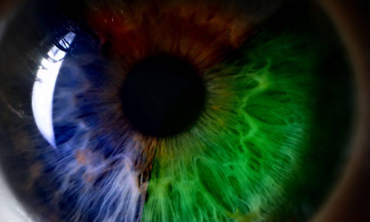 10 στοιχεία που σε κατατάσσουν στους πιο σπάνιους ανθρώπους