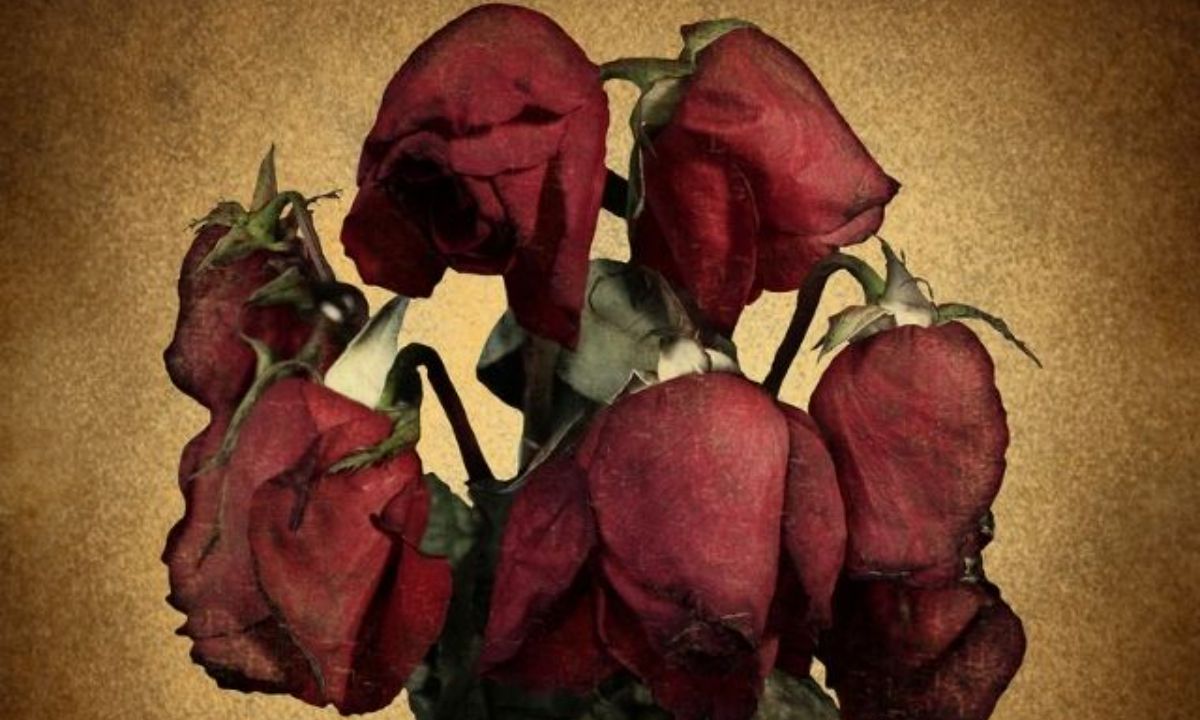 5+1 άντρες του ζωδιακού που θα κάνουν την καρδιά σου χίλια κομμάτια!