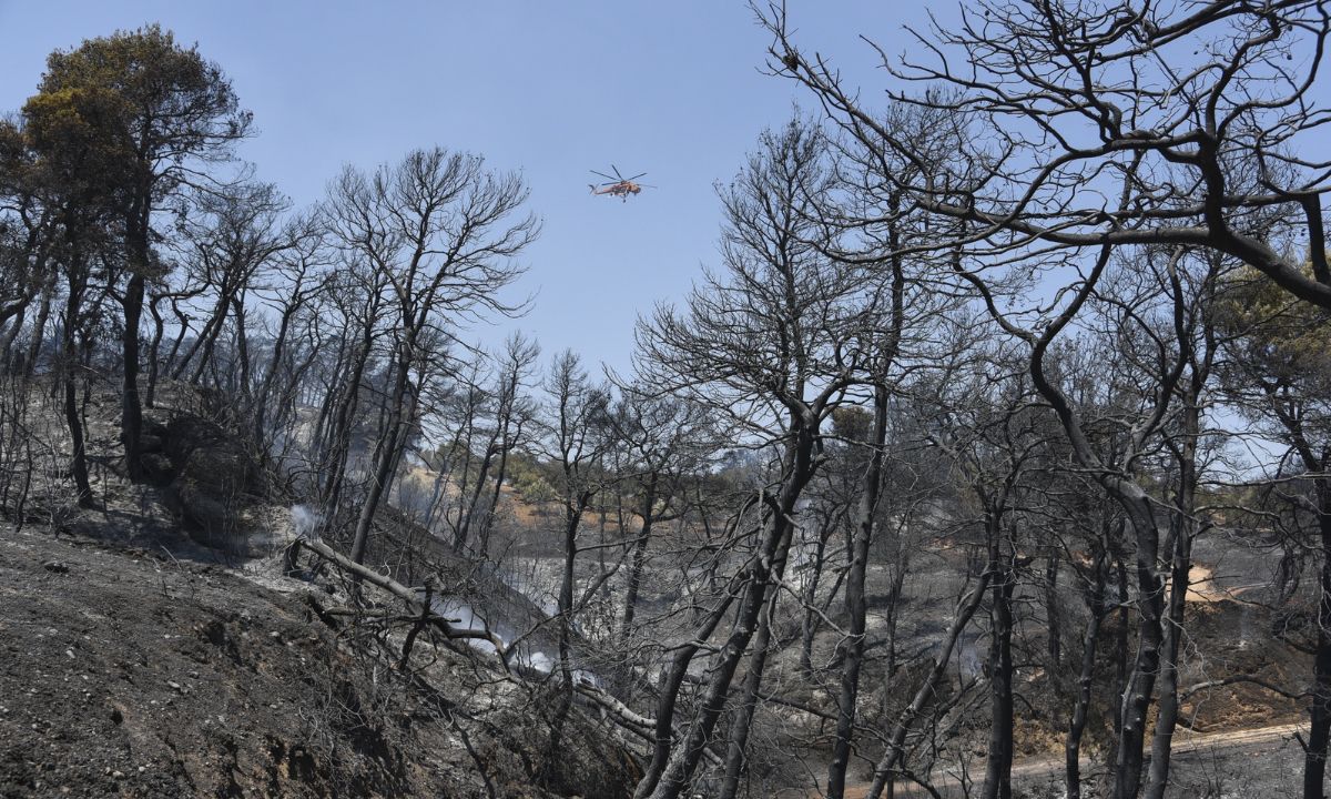 Αχαϊα: Κηρύχθηκαν σε κατάσταση έκτακτης ανάγκης οι πυρόπληκτες περιοχές