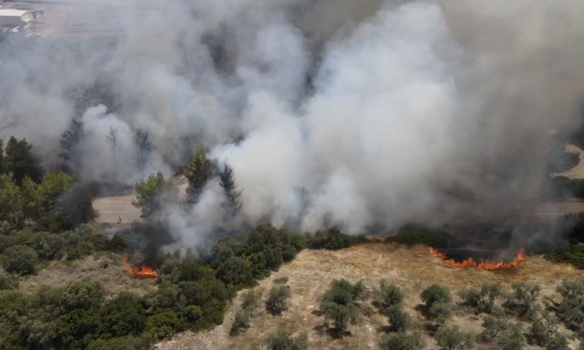 Θεολόγος Μαλεσίνας: Ο 14χρονος πέρναγε με το ποδήλατο και έβαζε φωτιές γιατί «του άρεσε ο καπνός»