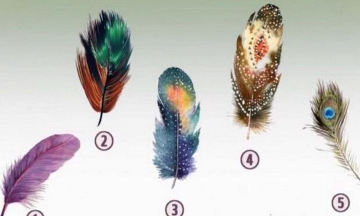 Το κάθε φτερό αποκαλύπτει μια κρυφή δύναμη! Μάθε τη δική σου!