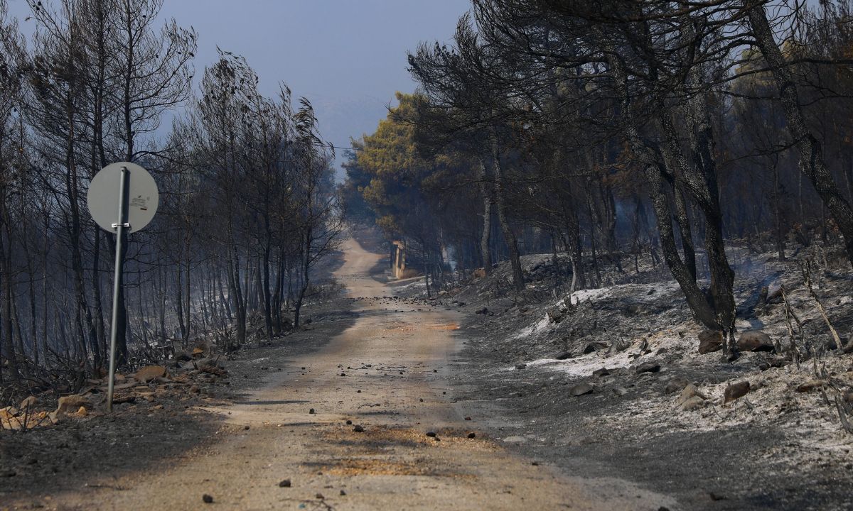Πάνω από 94.000 στρέμματα η καμένη γη στη δυτική Αττική