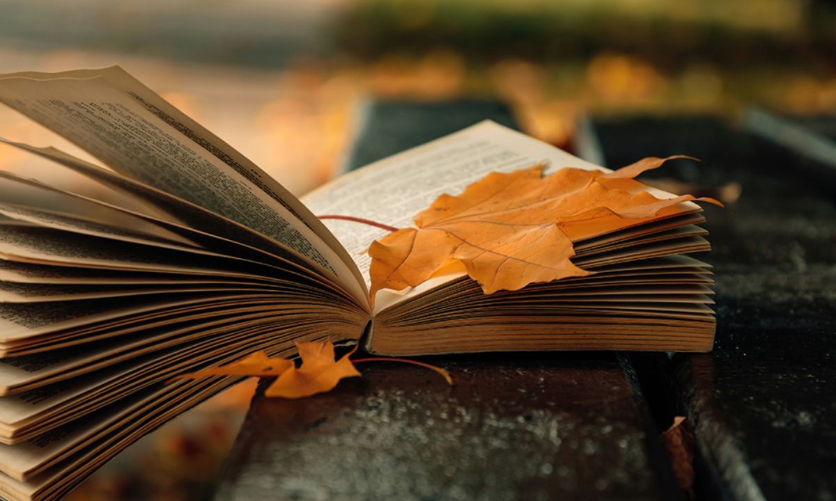 Ημερήσιες Προβλέψεις για όλα τα Ζώδια, 11/09