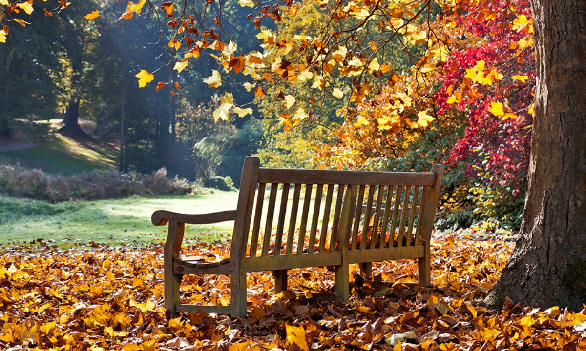 Ημερήσιες Προβλέψεις για όλα τα Ζώδια, 13/09