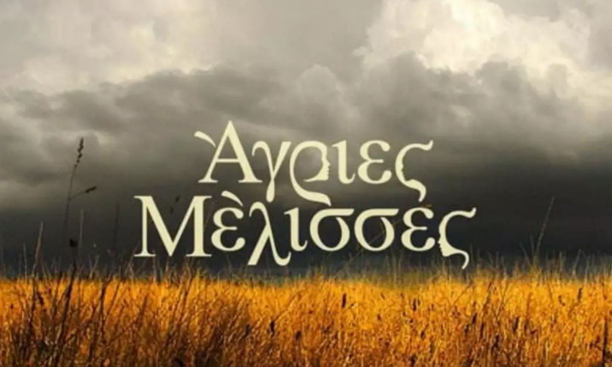 Άγριες Μέλισσες: Έκπληξη! Πρωταγωνιστής ανακοίνωσε on air τον γάμο του μέσα από το Happy Day