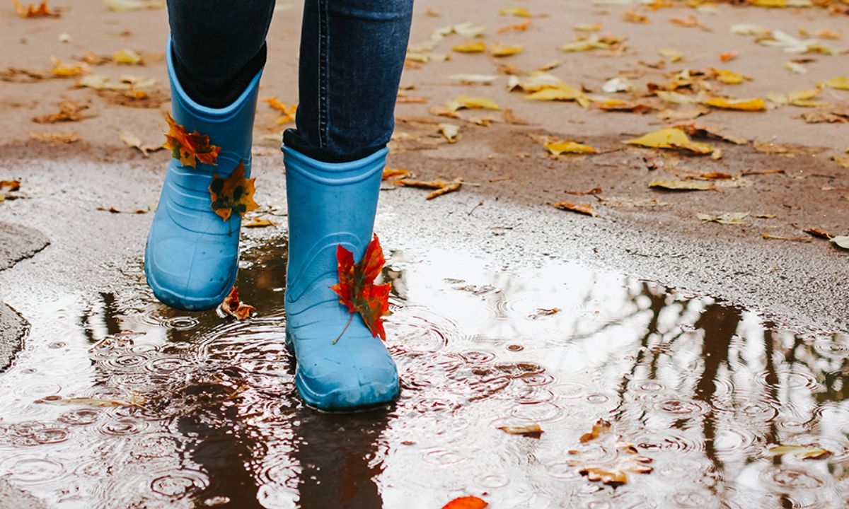 Ημερήσιες Προβλέψεις για όλα τα Ζώδια, 16/09