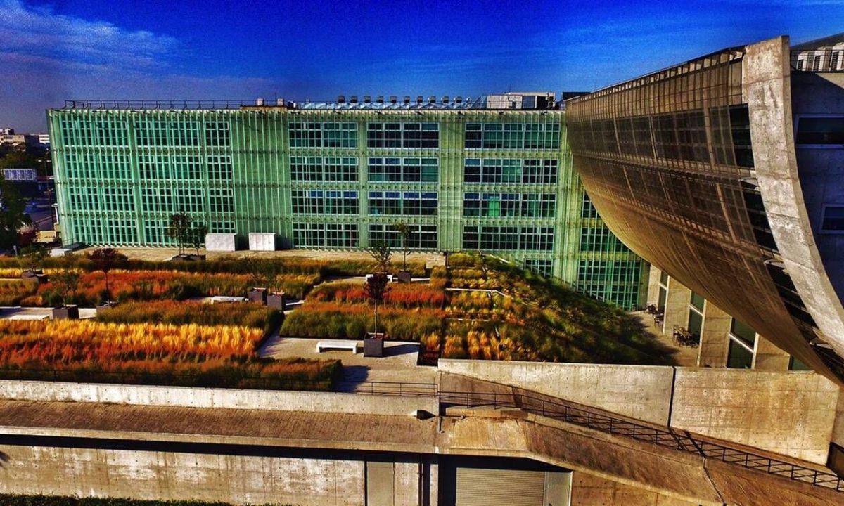 Shop & Trade : Οι οφειλές «μαμούθ» στην εφορία και οι ανοικτοί έλεγχοι του ΣΔΟΕ