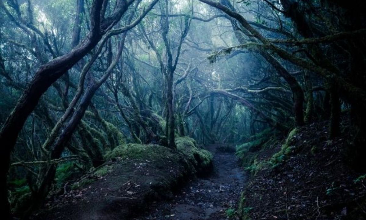 Δεσμοί της Σελήνης στους Οίκους: Ένα καρμικό μονοπάτι που καλείσαι να το βαδίσεις