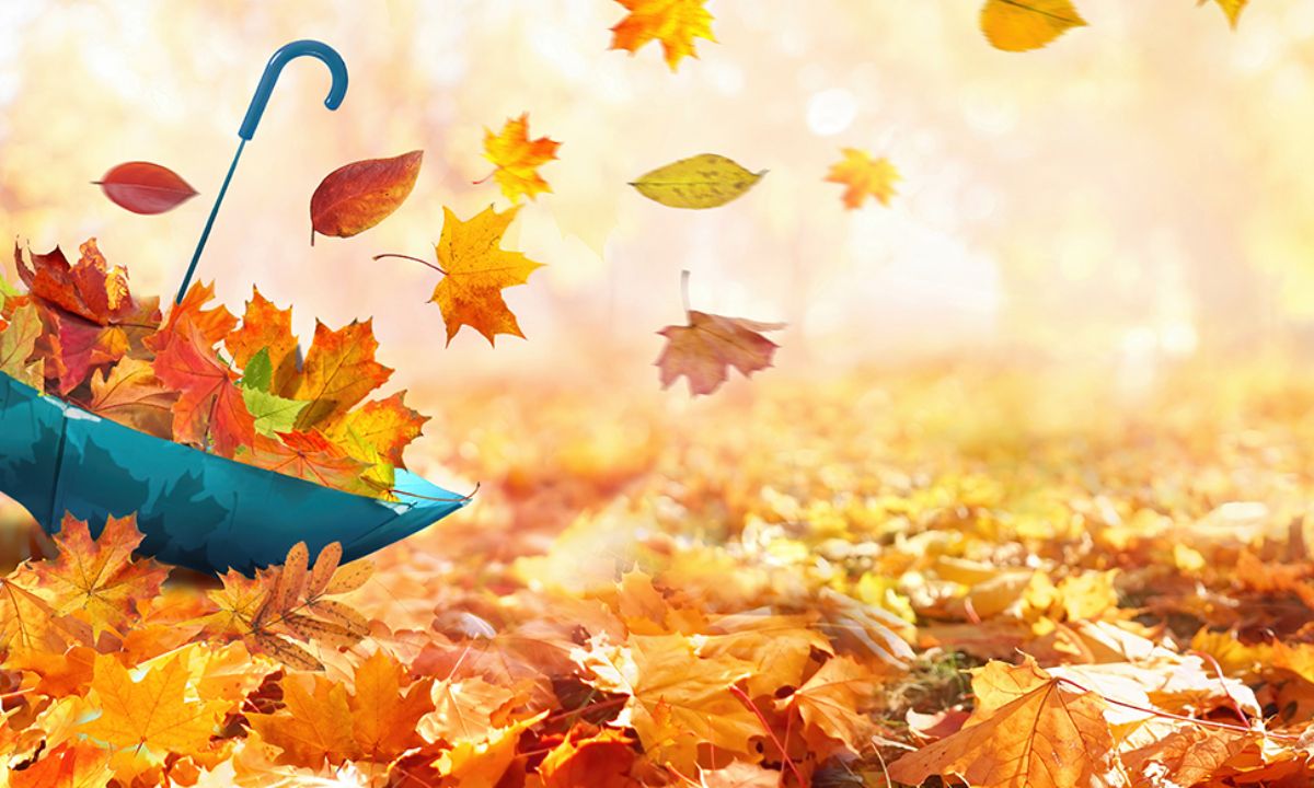 Ημερήσιες Προβλέψεις για όλα τα Ζώδια, 25/09