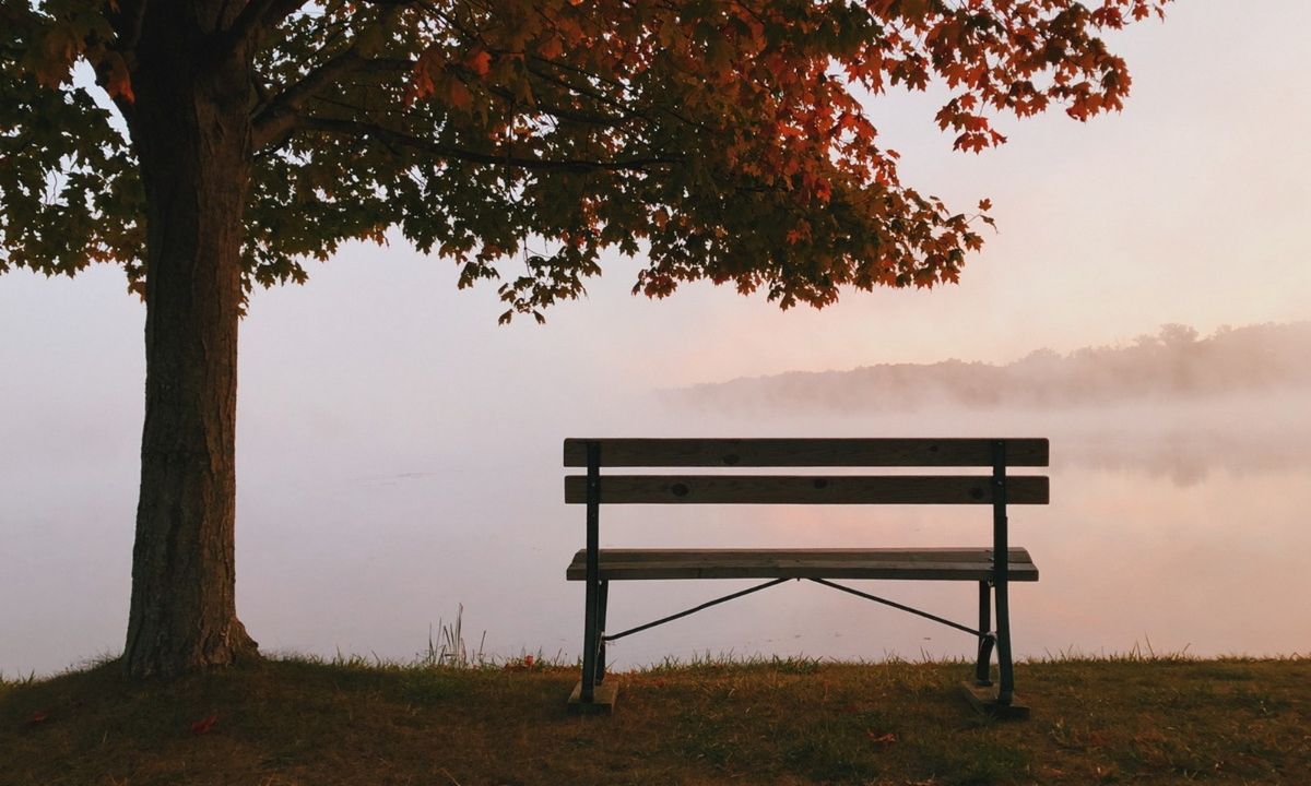 Φθινόπωρο 2021 - Φθινοπωρινή περίοδος από τη Google