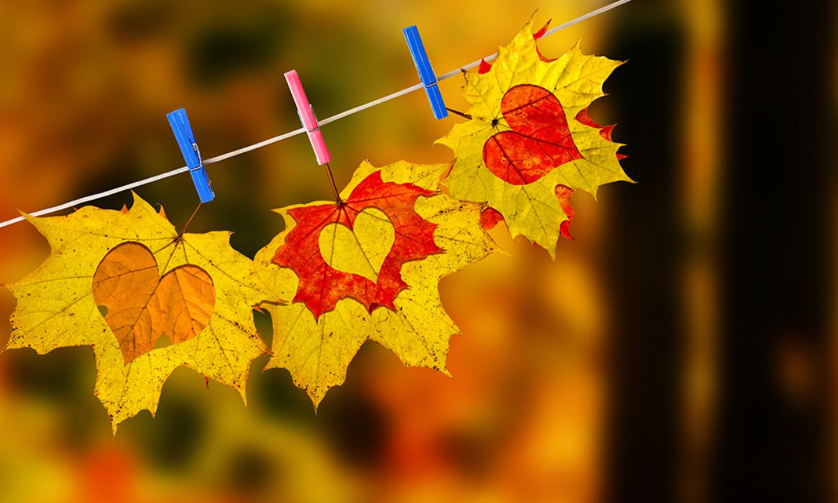 Εβδομαδιαίες Αισθηματικές προβλέψεις 27/09 έως 03/10: Σκηνικά απείρου κάλλους!