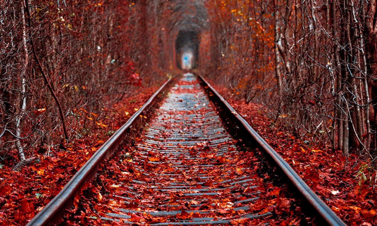 Ημερήσιες Προβλέψεις για όλα τα Ζώδια, 29/09