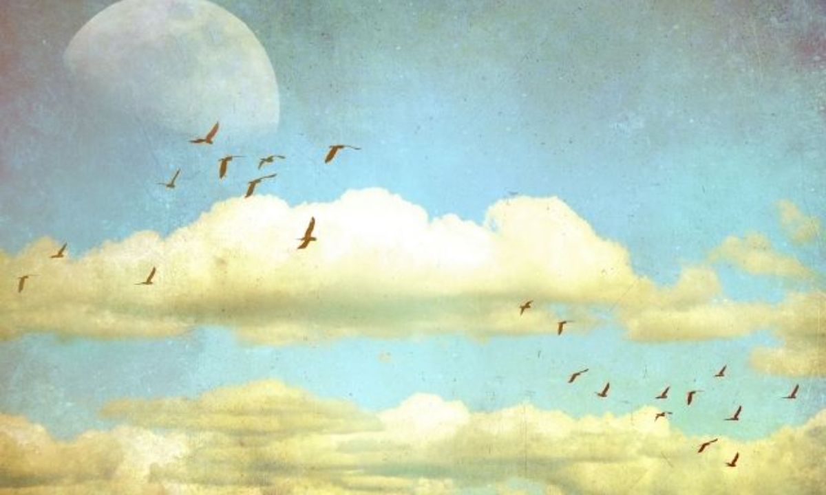 Δες τον δρόμο που σου δείχνει το Φεγγάρι από 01/10 έως 15/10