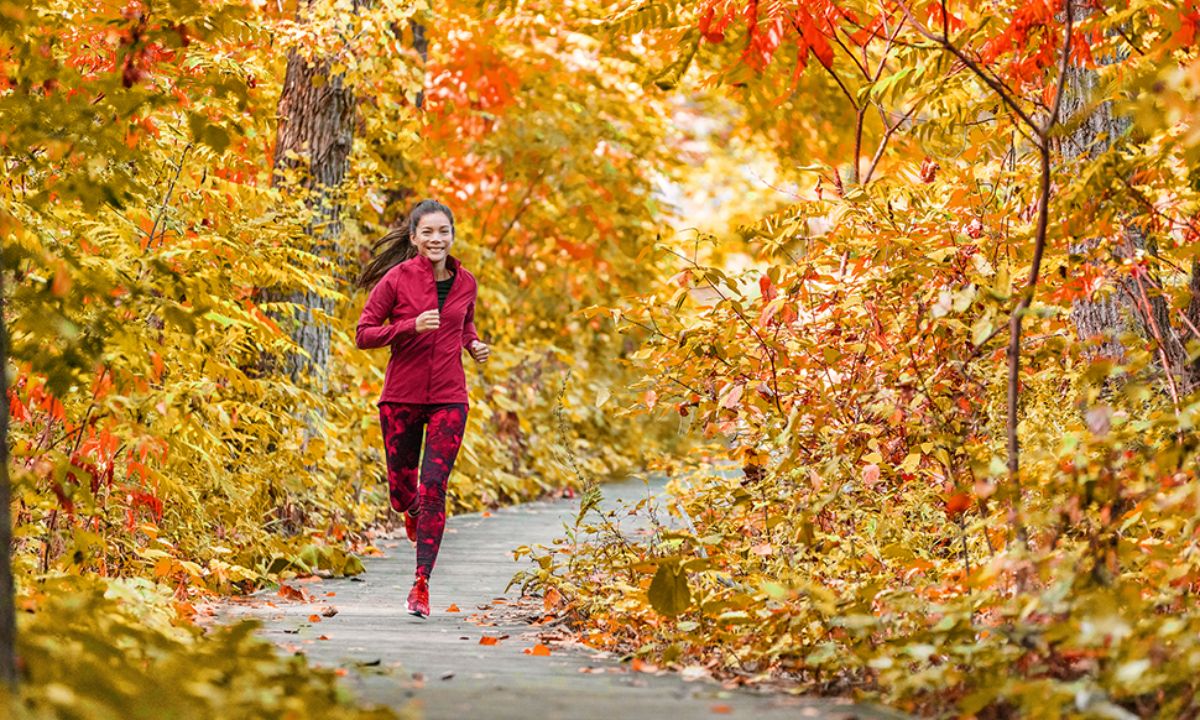 Ημερήσιες Προβλέψεις για όλα τα Ζώδια, 06/10
