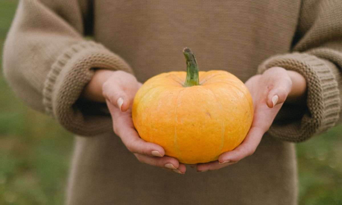 Το φθινόπωρο θέλει την κολοκύθα του: 3 μυστικά για να διαλέξεις τη σωστή