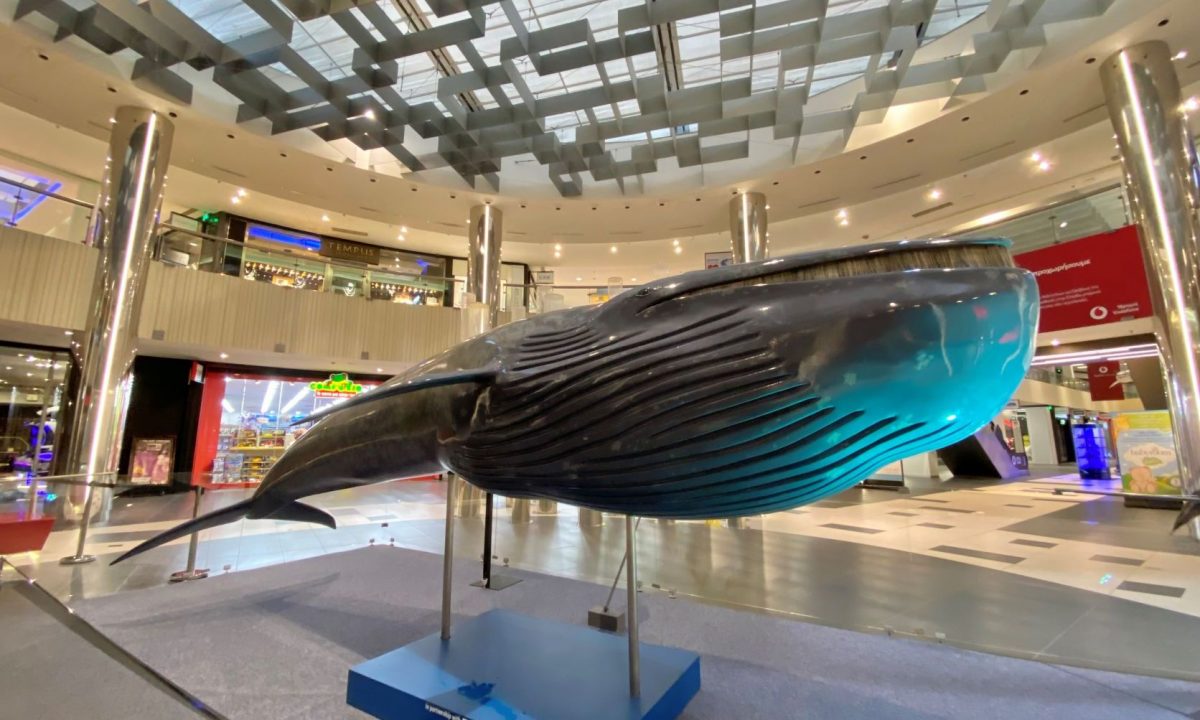 Η συναρπαστική έκθεση «Πλάσματα & Μυστήρια του Βυθού» στο Mediterranean Cosmos