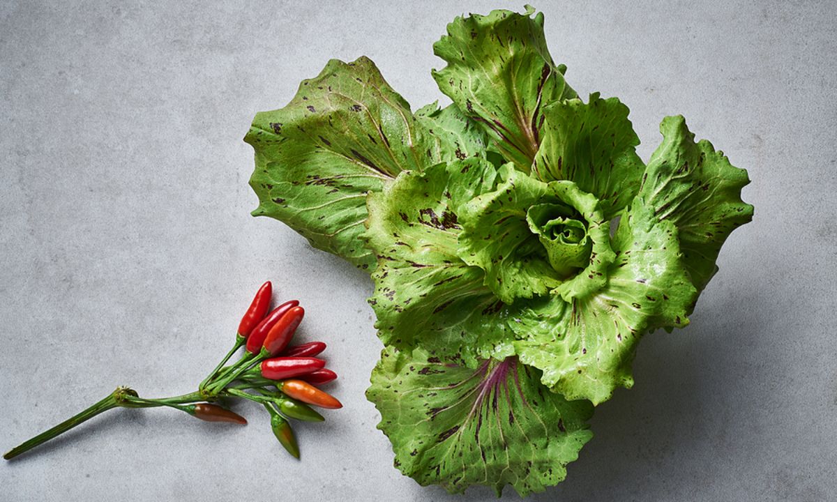 Αδυνάτισμα: Ποιες είναι οι καλύτερες λιποδιαλυτικές τροφές (εικόνες)