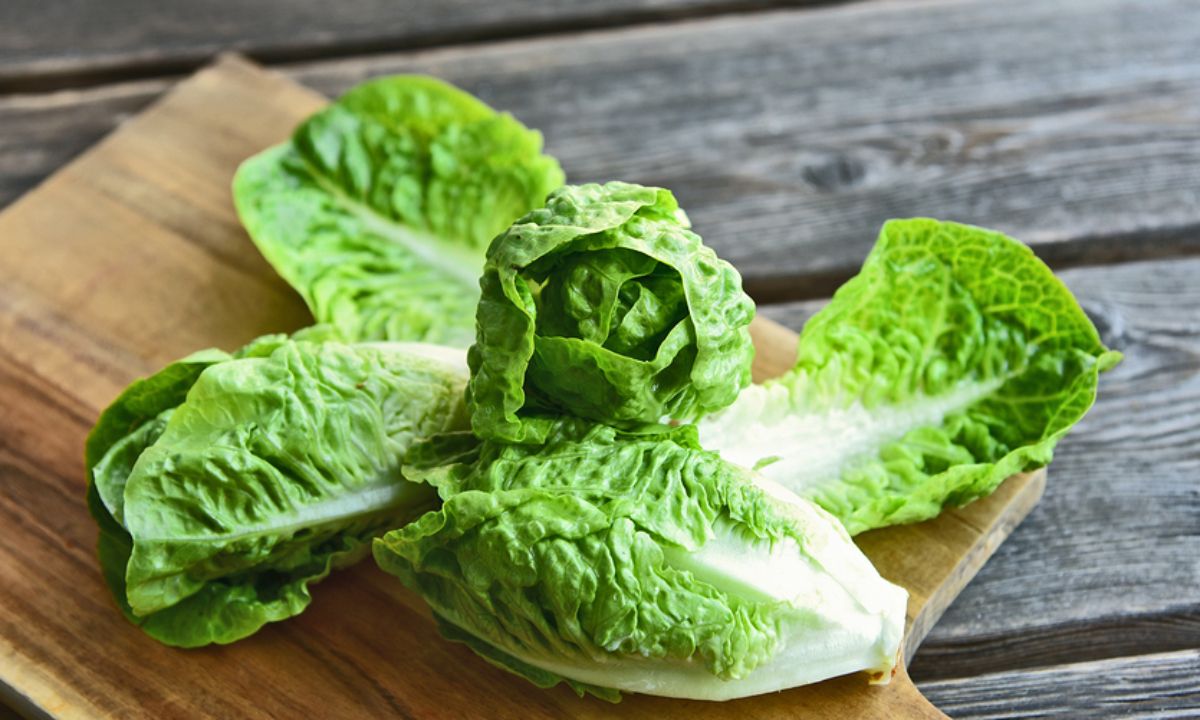 Μαρούλι: 5 σημαντικά οφέλη για τον οργανισμό (εικόνες)